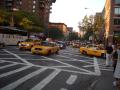 Yellow cabs dominieren