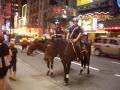 Polizei zu Pferd